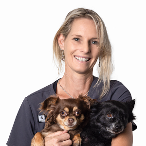 Tammy holding two chihuahua dogs and smiling at the camera